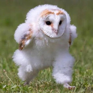 Meet your Posher, Jacey